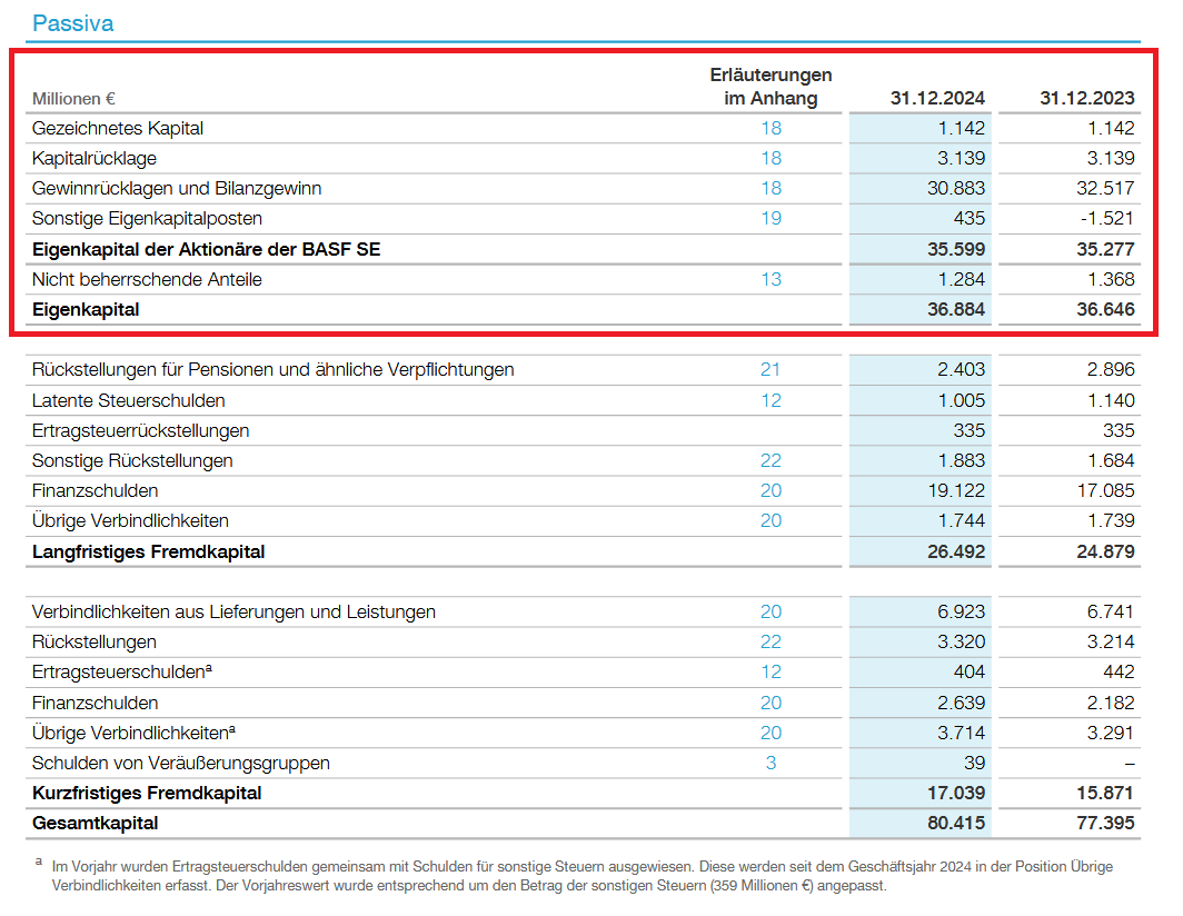 Auszug aus der Konzernbilanz der BASF SE – Passivseite zum 31. Dezember 2024 und 31. Dezember 2023.